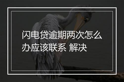 闪电贷逾期两次怎么办应该联系 解决