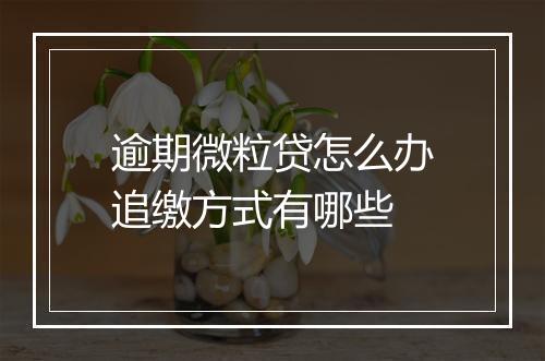 逾期微粒贷怎么办追缴方式有哪些