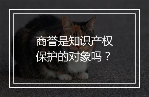 商誉是知识产权保护的对象吗？