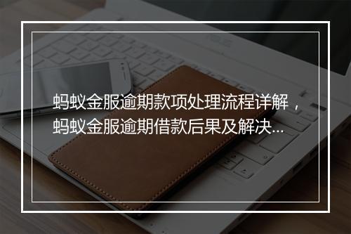 蚂蚁金服逾期款项处理流程详解，蚂蚁金服逾期借款后果及解决方法