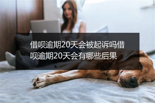 借呗逾期20天会被起诉吗借呗逾期20天会有哪些后果