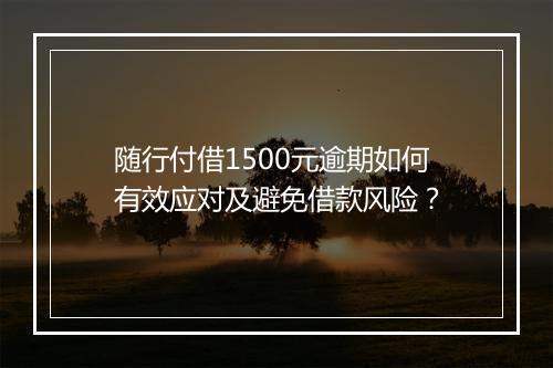 随行付借1500元逾期如何有效应对及避免借款风险？