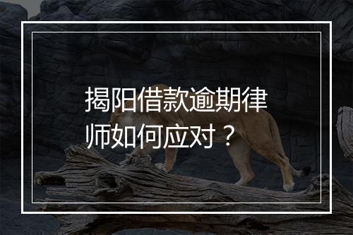 揭阳借款逾期律师如何应对？