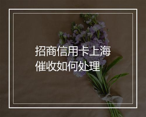 招商信用卡上海催收如何处理