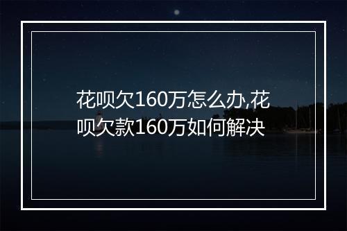 花呗欠160万怎么办,花呗欠款160万如何解决