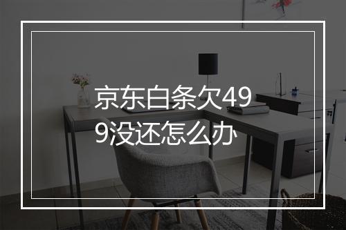 京东白条欠499没还怎么办