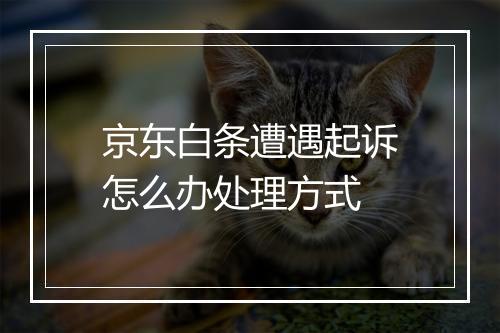 京东白条遭遇起诉怎么办处理方式