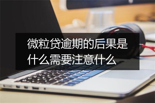 微粒贷逾期的后果是什么需要注意什么