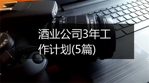 酒业公司3年工作计划(5篇)