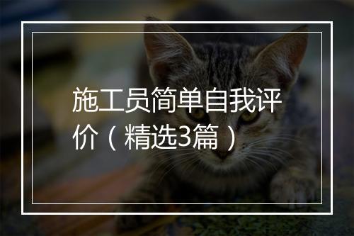 施工员简单自我评价（精选3篇）