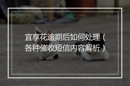 宜享花逾期后如何处理（各种催收短信内容解析）