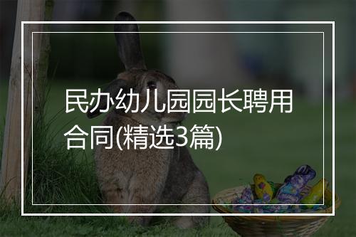 民办幼儿园园长聘用合同(精选3篇)