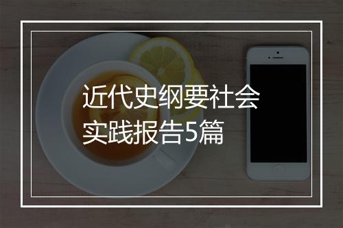 近代史纲要社会实践报告5篇