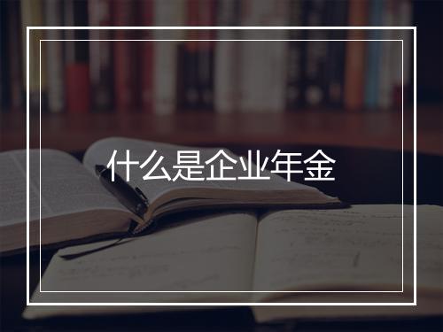 什么是企业年金