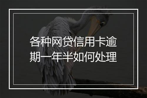 各种网贷信用卡逾期一年半如何处理