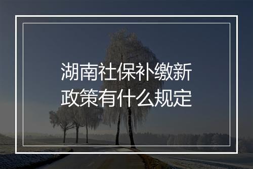 湖南社保补缴新政策有什么规定