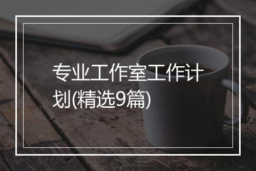 专业工作室工作计划(精选9篇)