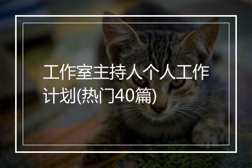 工作室主持人个人工作计划(热门40篇)
