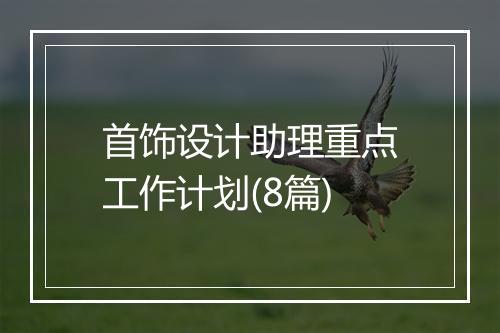 首饰设计助理重点工作计划(8篇)