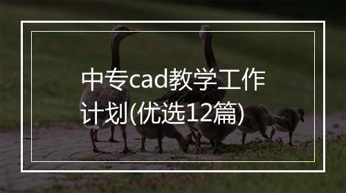 中专cad教学工作计划(优选12篇)