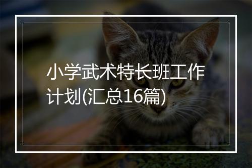 小学武术特长班工作计划(汇总16篇)