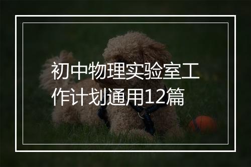 初中物理实验室工作计划通用12篇