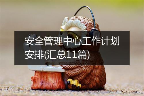 安全管理中心工作计划安排(汇总11篇)