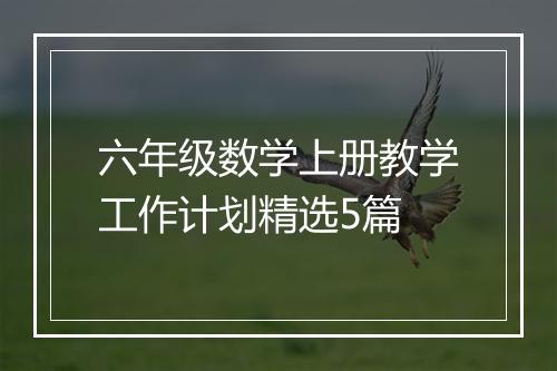 六年级数学上册教学工作计划精选5篇