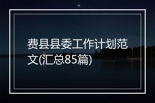 费县县委工作计划范文(汇总85篇)