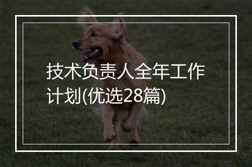 技术负责人全年工作计划(优选28篇)