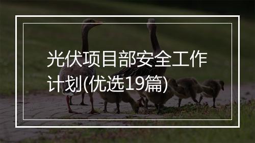 光伏项目部安全工作计划(优选19篇)