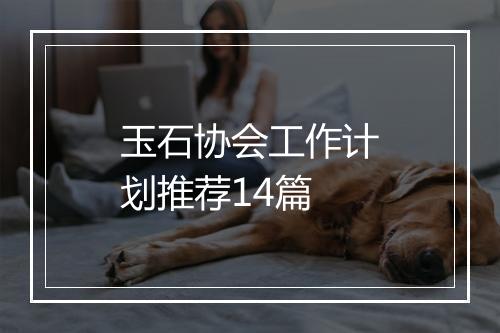 玉石协会工作计划推荐14篇