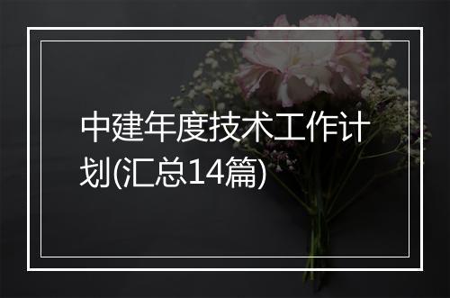 中建年度技术工作计划(汇总14篇)