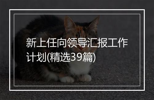新上任向领导汇报工作计划(精选39篇)