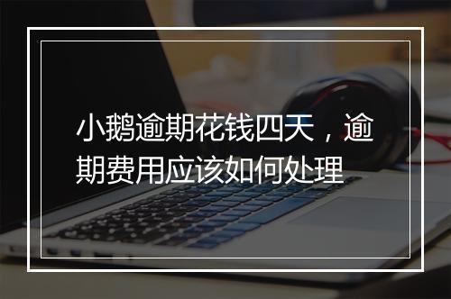 小鹅逾期花钱四天，逾期费用应该如何处理