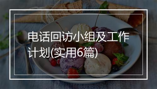 电话回访小组及工作计划(实用6篇)