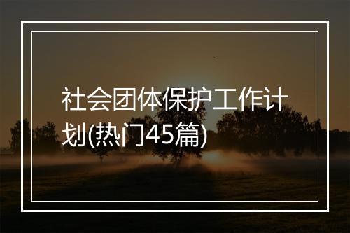 社会团体保护工作计划(热门45篇)