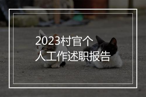 2023村官个人工作述职报告