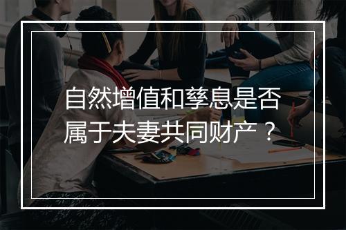 自然增值和孳息是否属于夫妻共同财产？