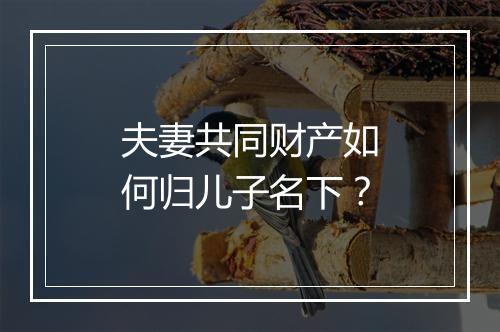 夫妻共同财产如何归儿子名下？