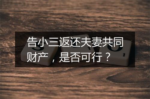 告小三返还夫妻共同财产，是否可行？