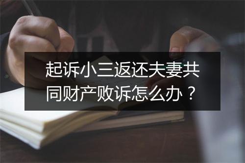起诉小三返还夫妻共同财产败诉怎么办？