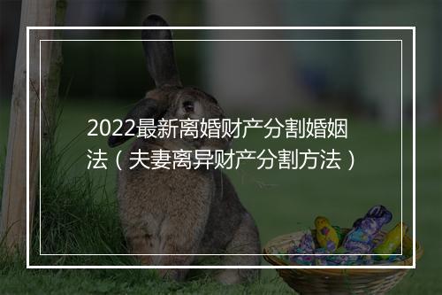 2022最新离婚财产分割婚姻法（夫妻离异财产分割方法）