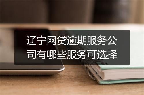 辽宁网贷逾期服务公司有哪些服务可选择
