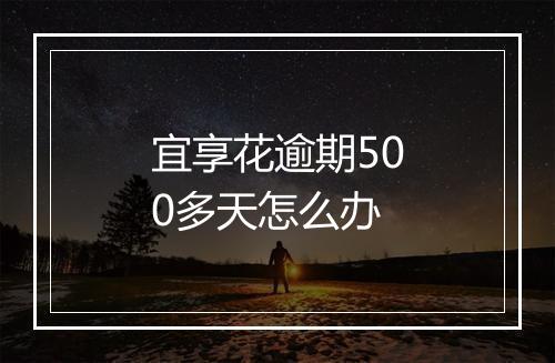 宜享花逾期500多天怎么办