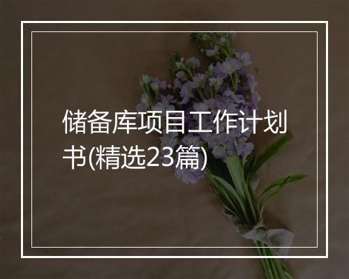 储备库项目工作计划书(精选23篇)