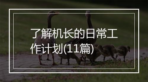 了解机长的日常工作计划(11篇)