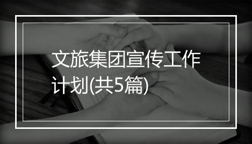 文旅集团宣传工作计划(共5篇)