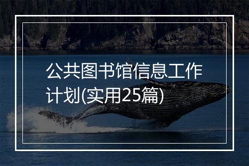 公共图书馆信息工作计划(实用25篇)