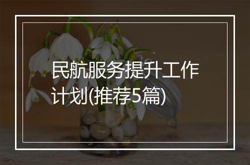 民航服务提升工作计划(推荐5篇)